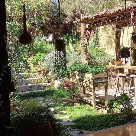 Apartamento En El Vivero Tilcara Exteriör bild