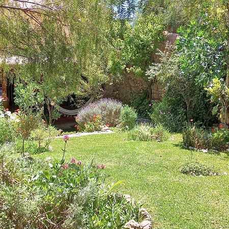 Apartamento En El Vivero Tilcara Exteriör bild