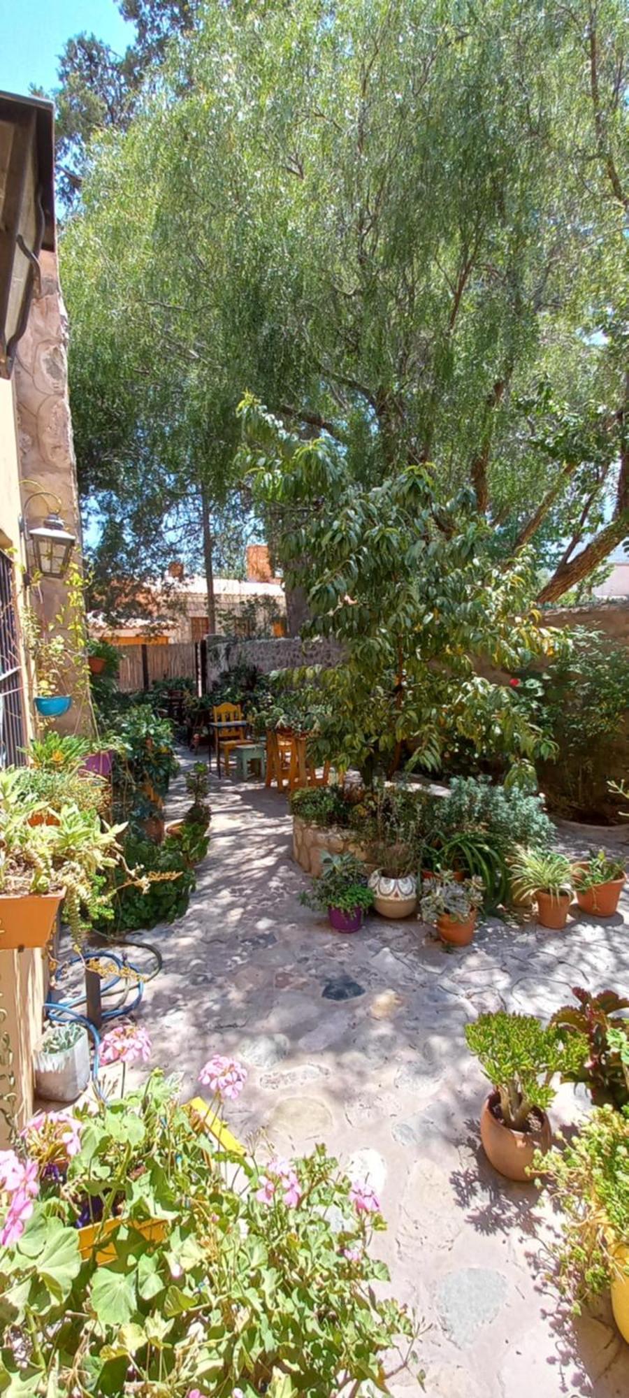 Apartamento En El Vivero Tilcara Exteriör bild